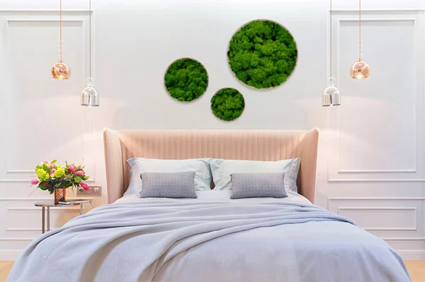 DIY Moosbilder: Material, Pflege und Dekoration