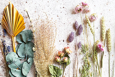 Naturkunst: Pressen und Einrahmen